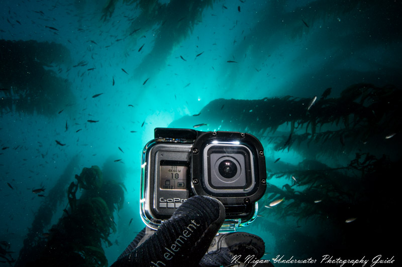 gopro shots underwater
