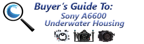Nauticam NA-A6600 Underwater Housing for Sony A6600 Camera – Reef Photo &  Video