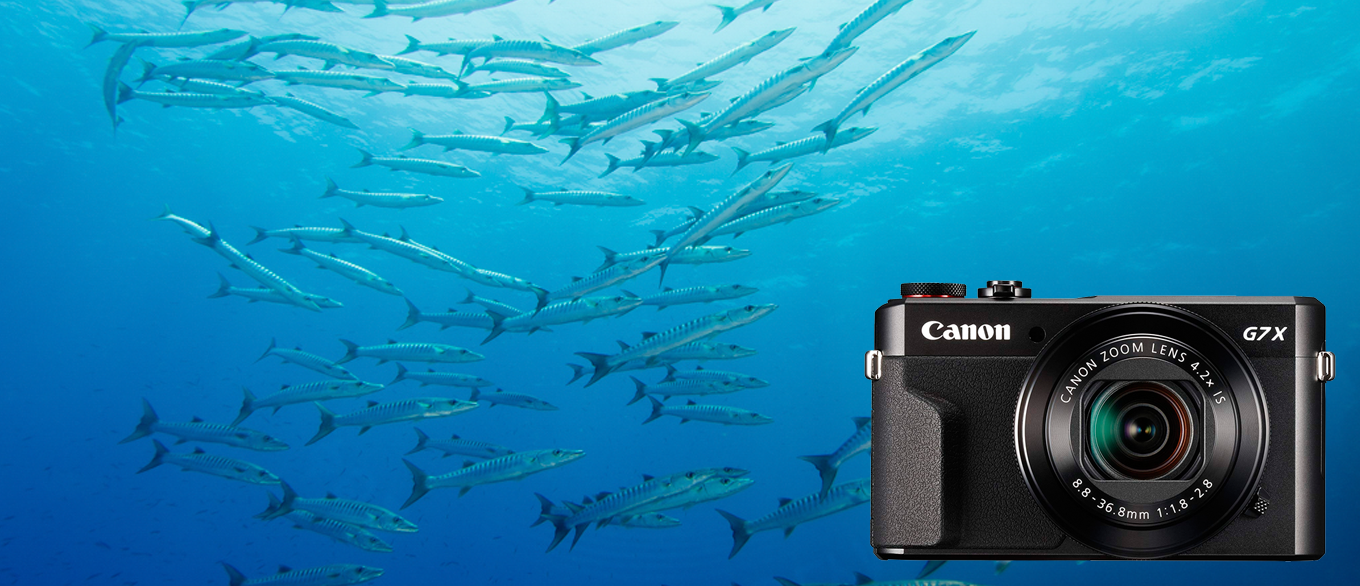 Canon PowerShot G7 X Mark II Digital Camera 