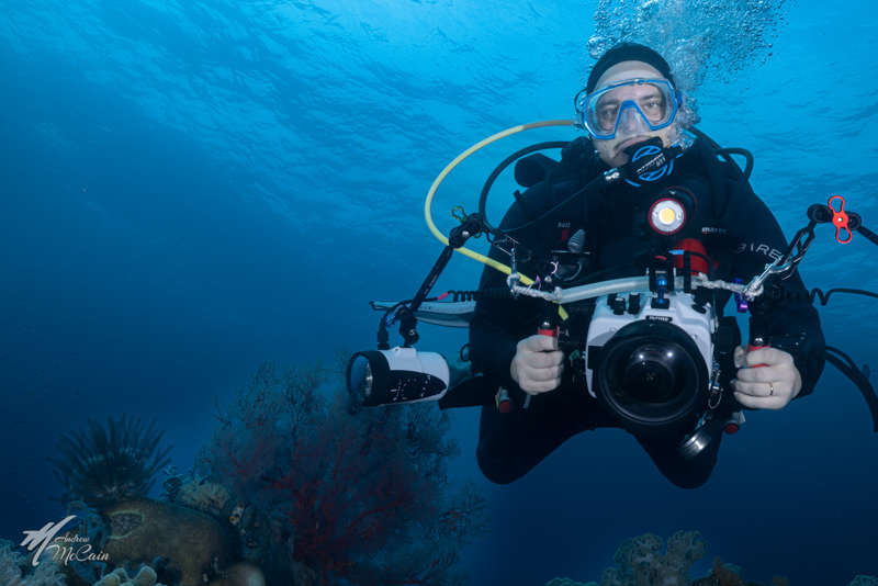 Sony A7 IV Underwater Settings - Bluewater Photo