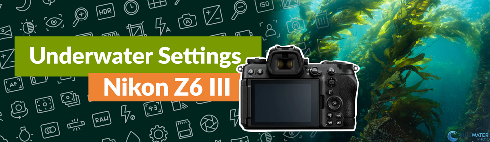 Nikon Z6 III Underwater Settings