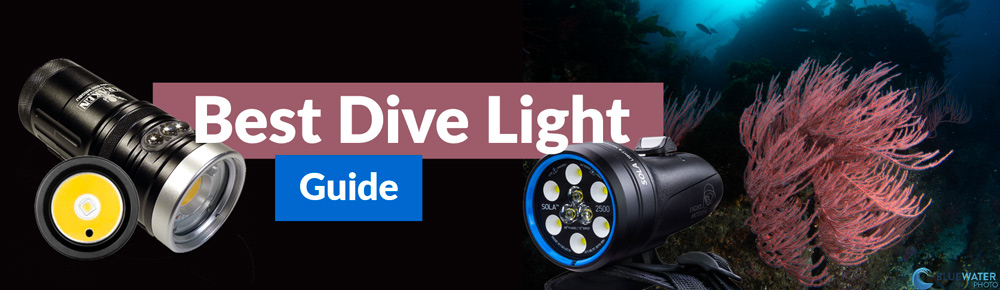 Best Dive Lights 2024