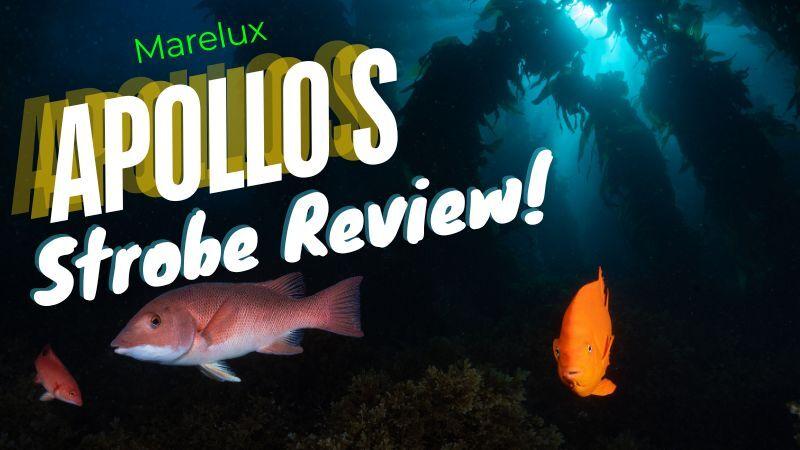 marelux apollo s underwater strobe review