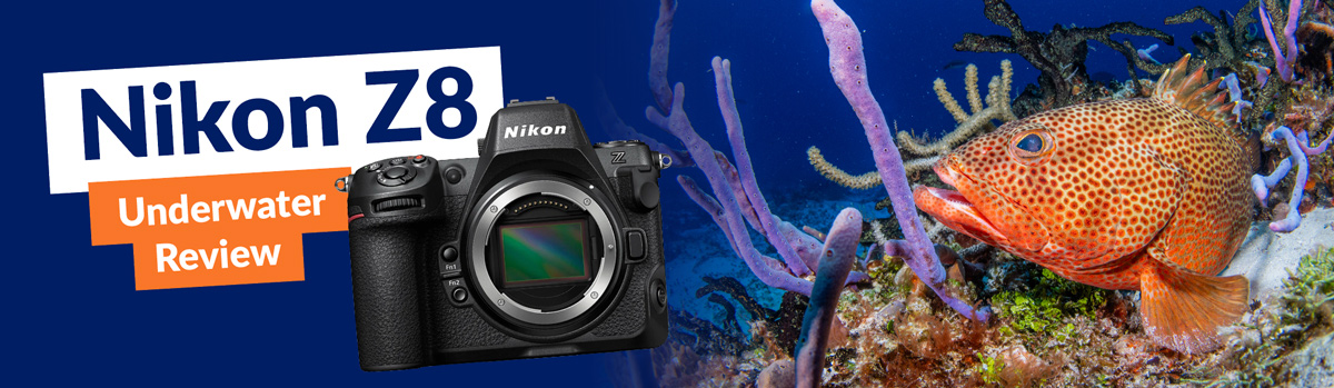Nikon Z8 Mirrorless Camera (Body Only) Bundle with Nikon FTZ II Mount  Adapter (International Model)