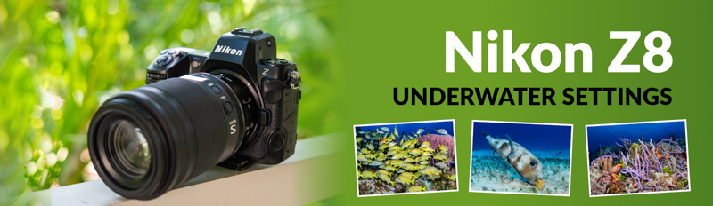 Nikon Z8 Underwater Settings - Bluewater Photo