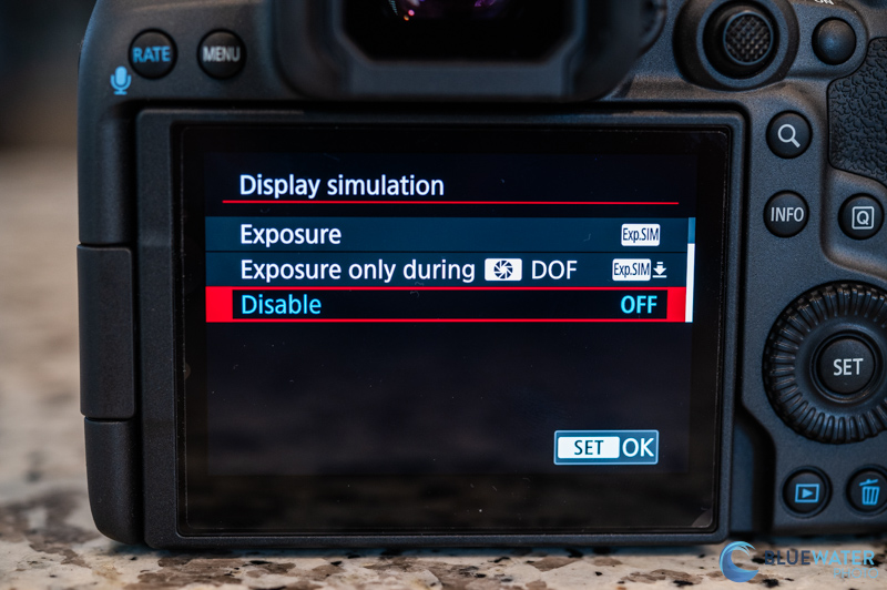 Display Simulation Canon R5 II