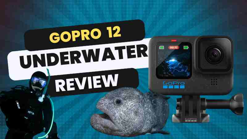 GoPro Hero 12 Underwater Review